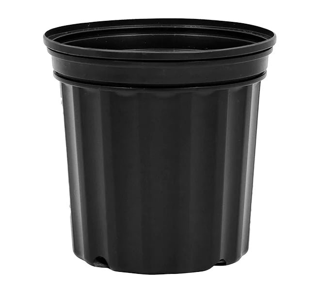 1 Gallon Nursery Pot