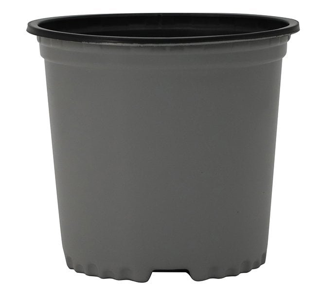 1 Gallon Nursery Container