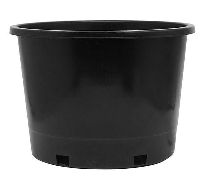 10 Gallon Nursery Pot Squat