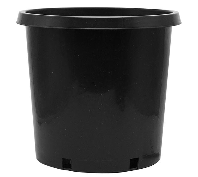 10 Gallon Nursery Pot