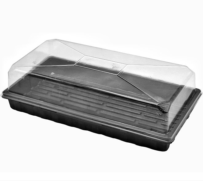 Clear Dome Short for FL1121