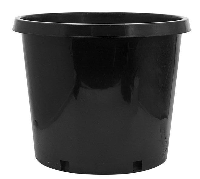 15 Gallon Nursery Pot Squat