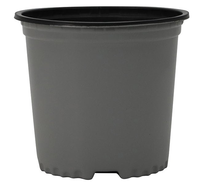 1 True Gallon Nursery Container