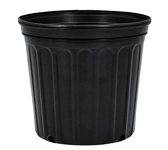 2 Gallon Nursery Pot