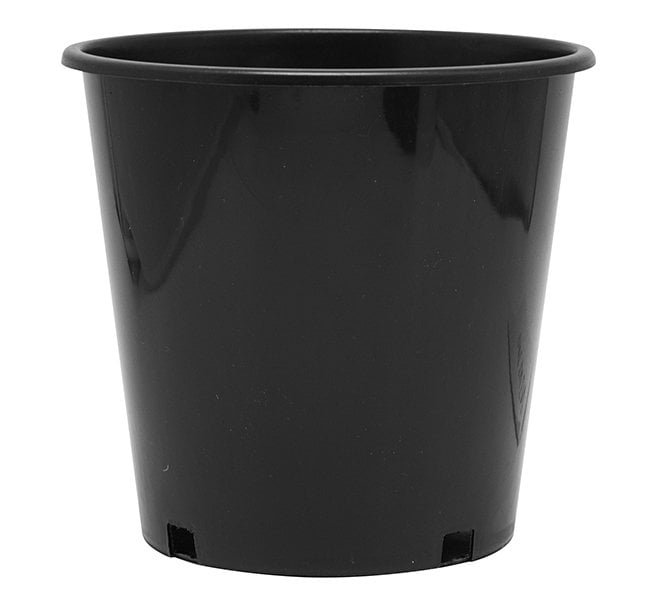 2 Gallon Nursery Pot  2 Gallon Nursery Pot