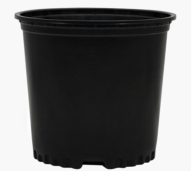 2 True Gallon Nursery Container