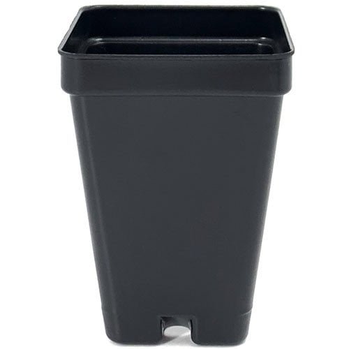 2.5″ Square Pot