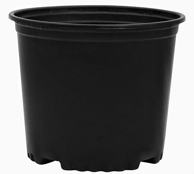 3 Gallon Nursery Container