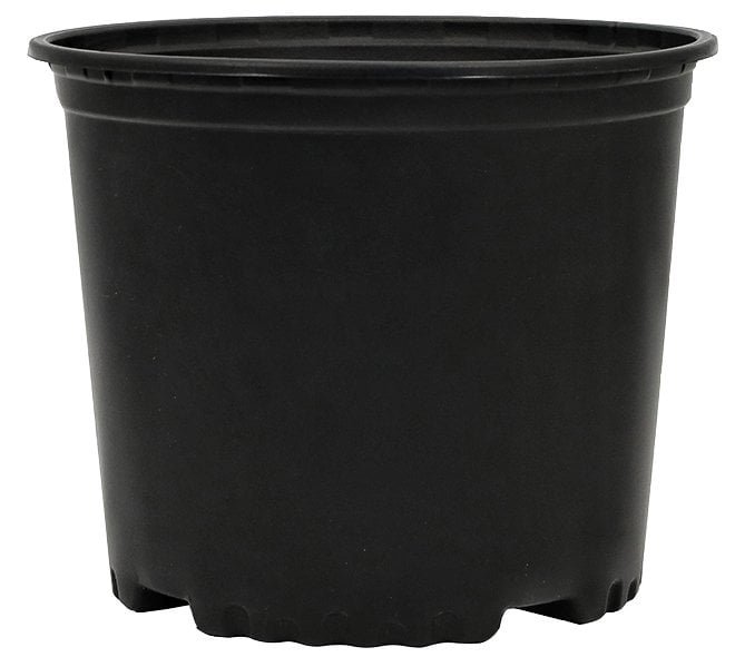 3 True Gallon Nursery Container