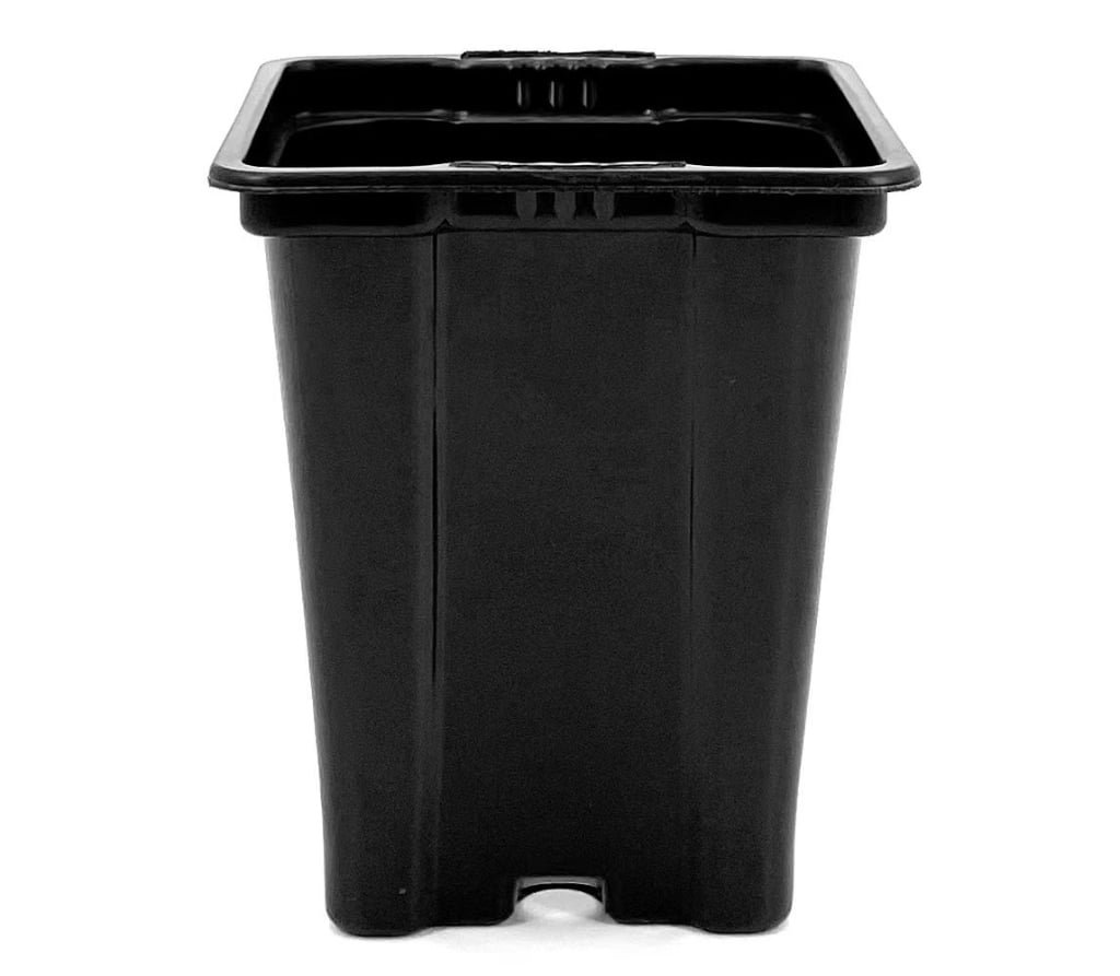 3.25″ Sqaure Pot with Tag Slot