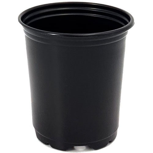 3.5″ Round Pot Short