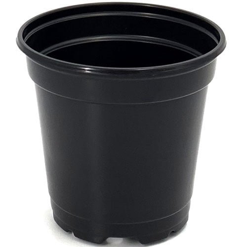 4.33″ Round Pot