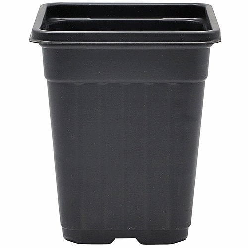 5.5″ Square Pot Deep