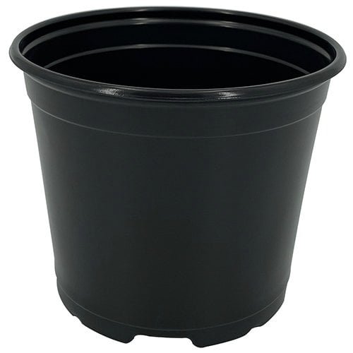 5.0″ Round Pot