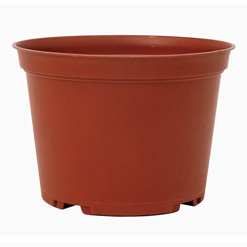6.5″ Azalea Injection Round Pot