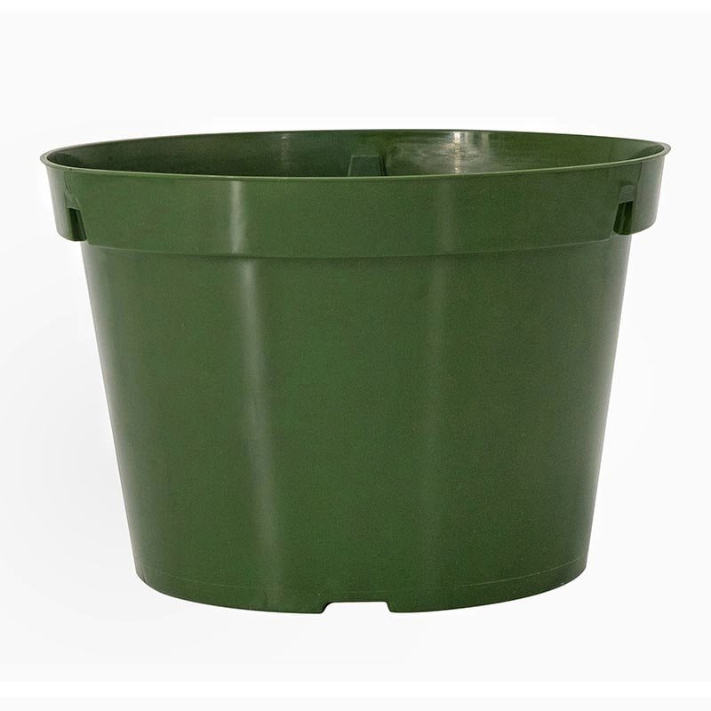 8.5″Azalea Injection Round Pot