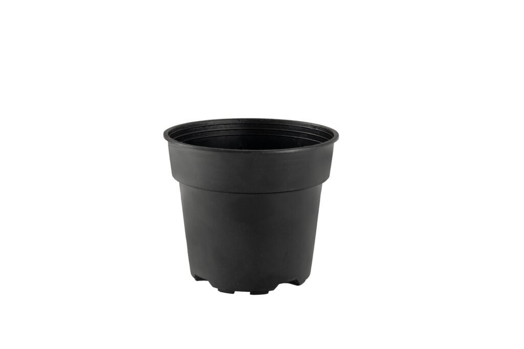 6 INCH PLASTIC POT