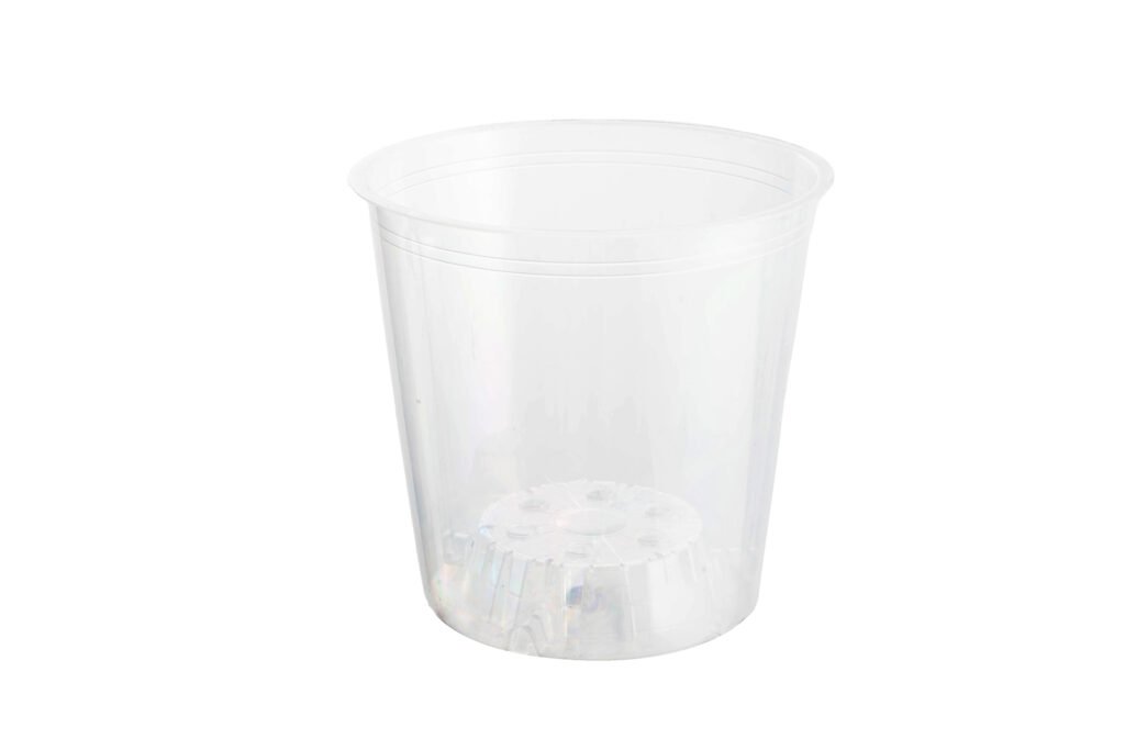 6CM CLEAR POT